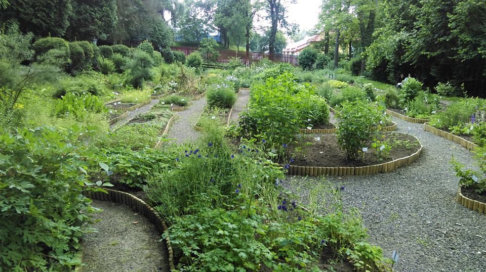 Grădina Botanică a UMF Tîrgu Mureș, 70 de ani de la înființare