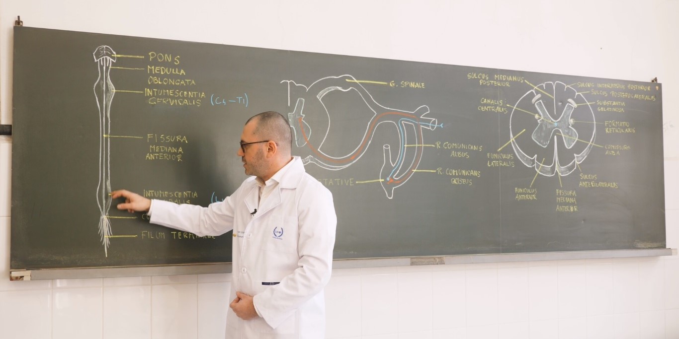 Lectii neuroanatomie Smart University 2