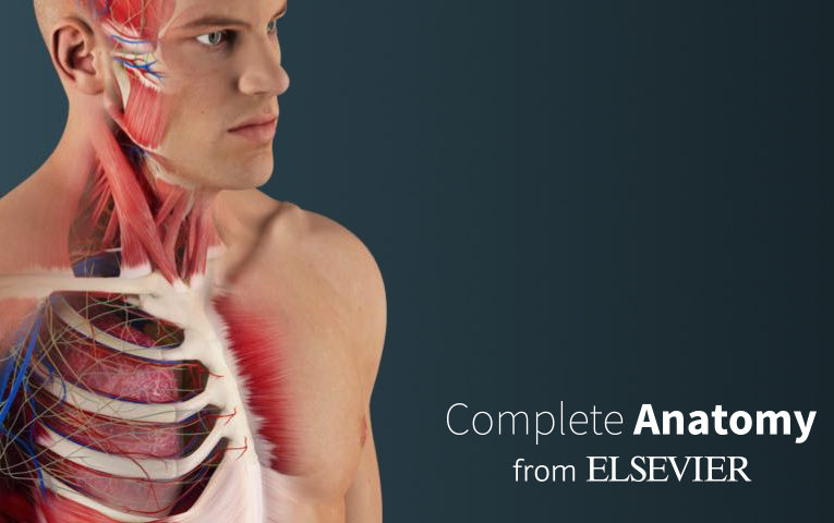 Webinar online Complete Anatomy